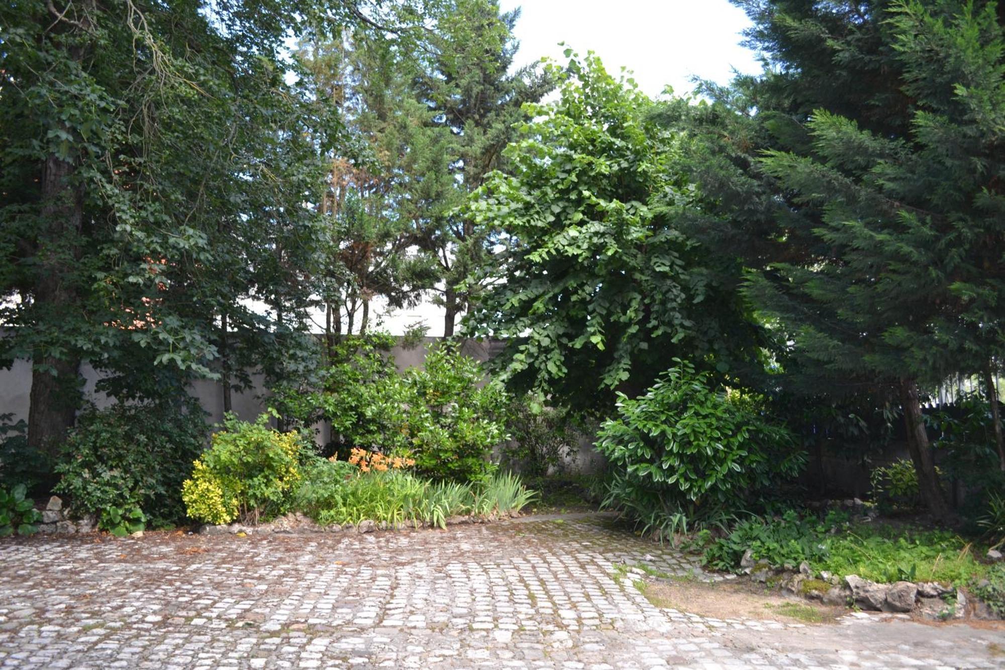 Bed and Breakfast Lit En Loire Сен-Сір-сюр-Луар Екстер'єр фото